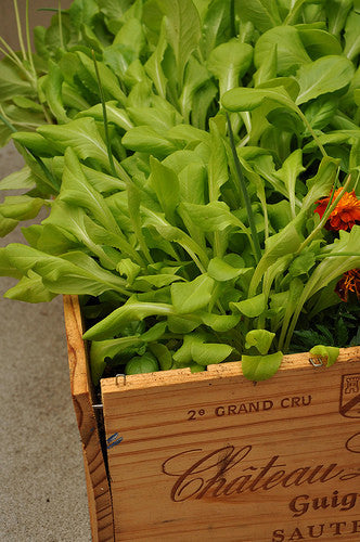 how to create a DIY garden container from a wooden wine box