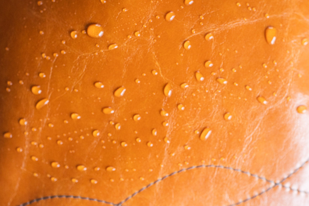 Crystalyn Kae vegan leather bag from coated canvas