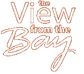 pleated clutches on ABC’s View from the Bay
