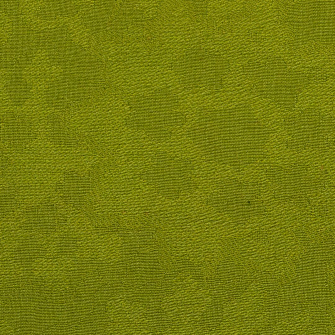 lime green jacquard fabric developed for areolinas argentinas vintage airplane fabric